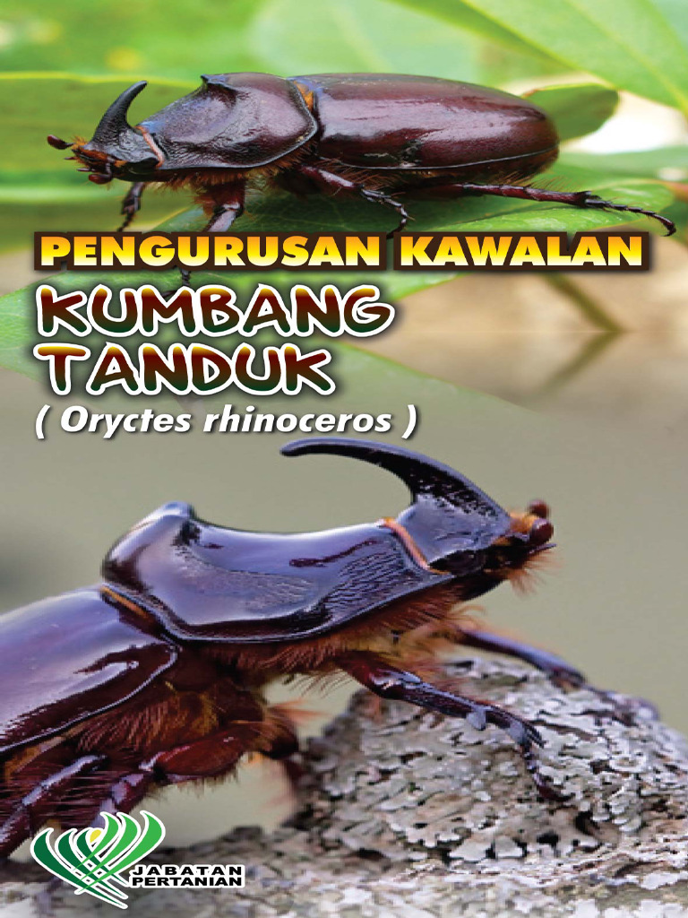 Pengurusan Kumbang Tanduk PDF(02)