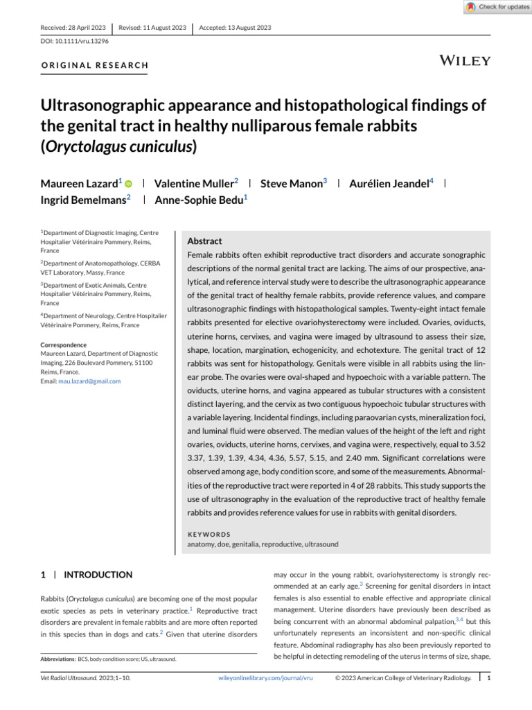 Ultrasonography of Female Rabbit Genitals | PDF | Medical Ultrasound ...