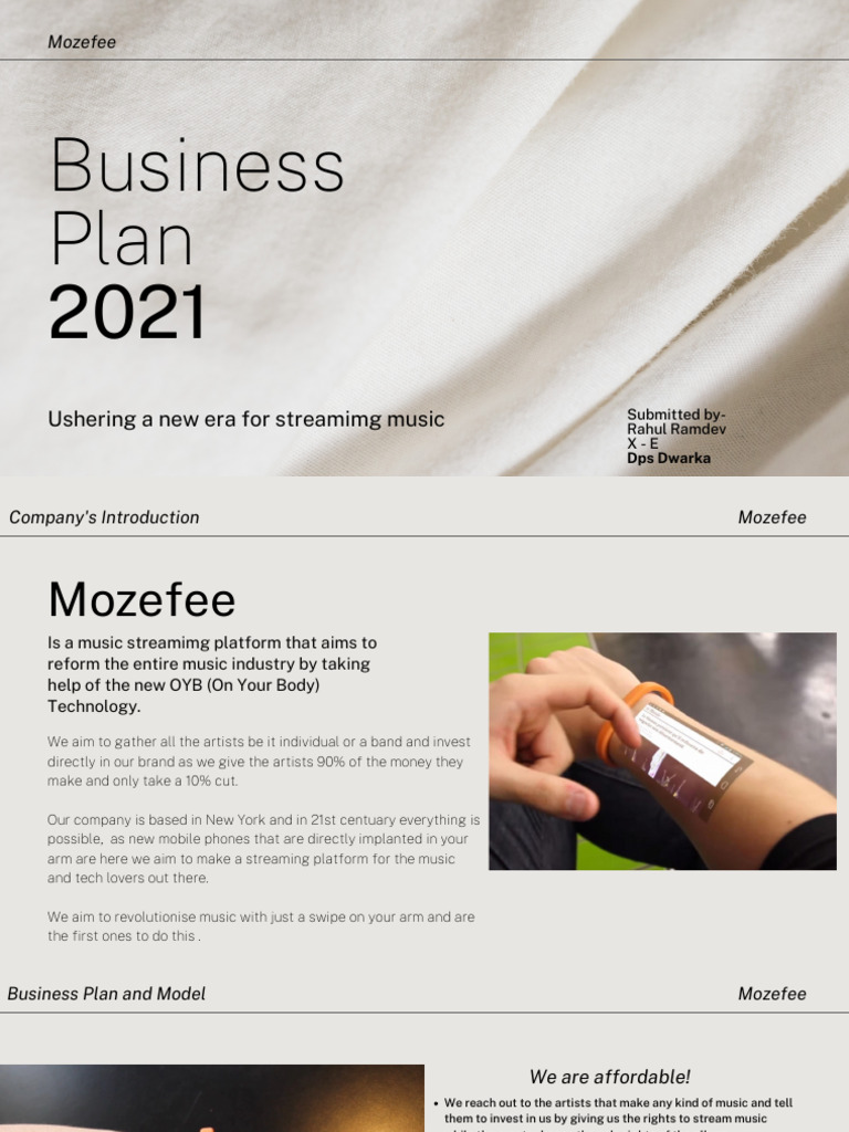 Business Plan 2021 PDF Streaming Media Digital Distribution