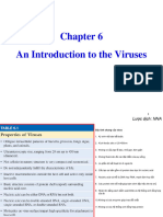 VSVH Chapter06 Lecture