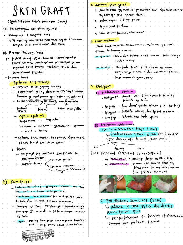 Integra Skin Graft Everything You Need To Know Visual Guide - 3wk7qdk