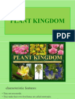 Plant Kingdom