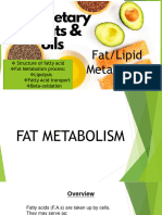 Metabolism of Lipids 1 1