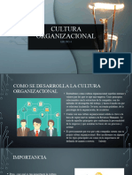 Cultura Organizacional