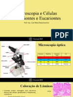 A - Microscopia e Células Procariontes e Eucariontes