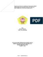 Salin1-LP HIDRONEFROSIS YUDETIE 4