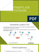 Thymidylate Synthase