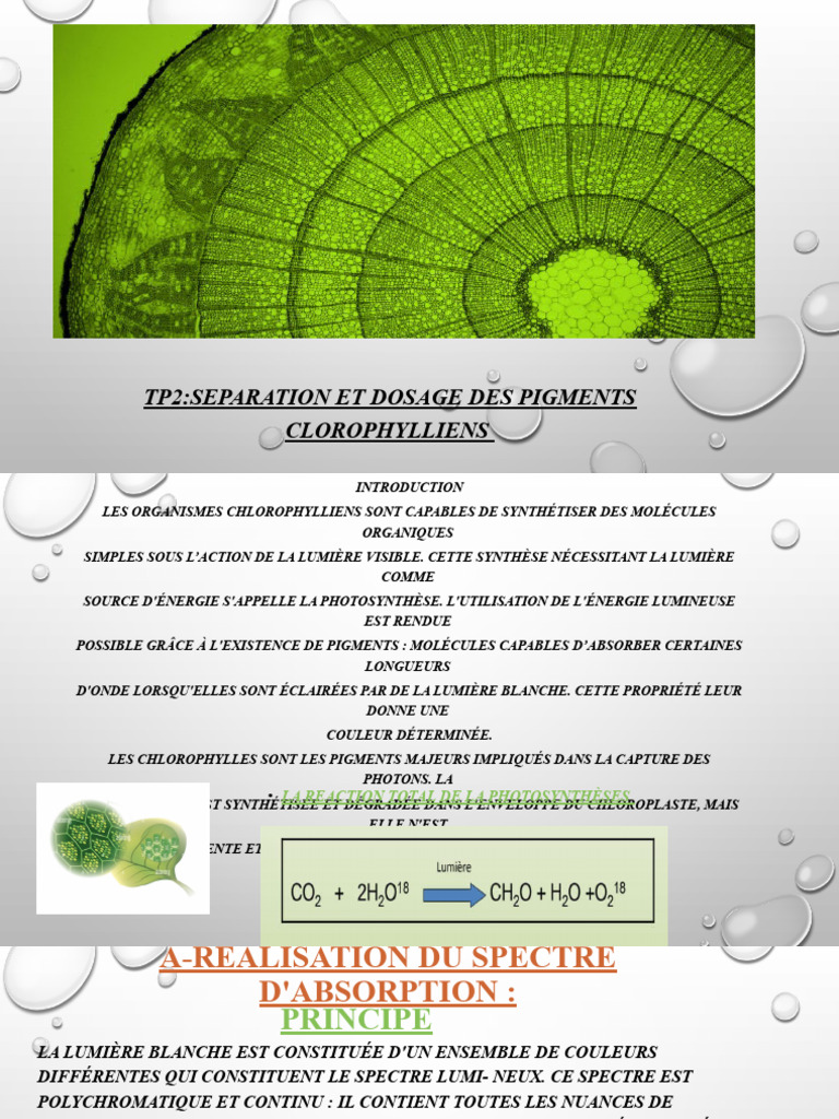 Dosage de chlorophylle par spectrophotométrie PDF Chlorophylle — free download