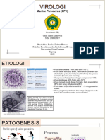 Canine Parvovirus