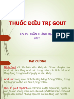 2023 Thuoc Tri Gout