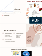 El Sistema Endocrino