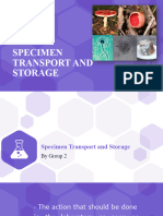 Specimen Transport and Storage Group 2