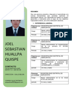 CV Sebastian Huallpa Quispe