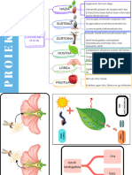 PROIEKTUA