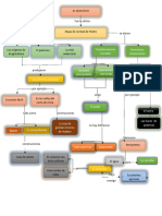 Mapa Conceptual