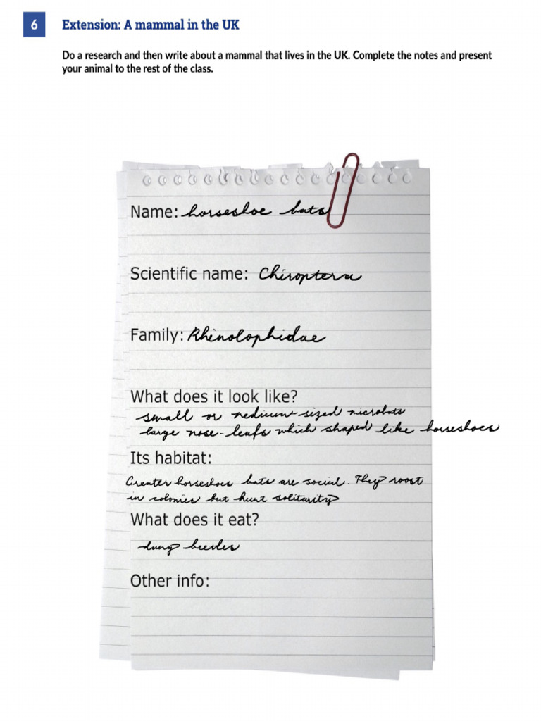 Exercise 6 Extension Work PDF