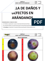 CT-CAL-004 Cartilla de Daños y Defectos en Arándanos