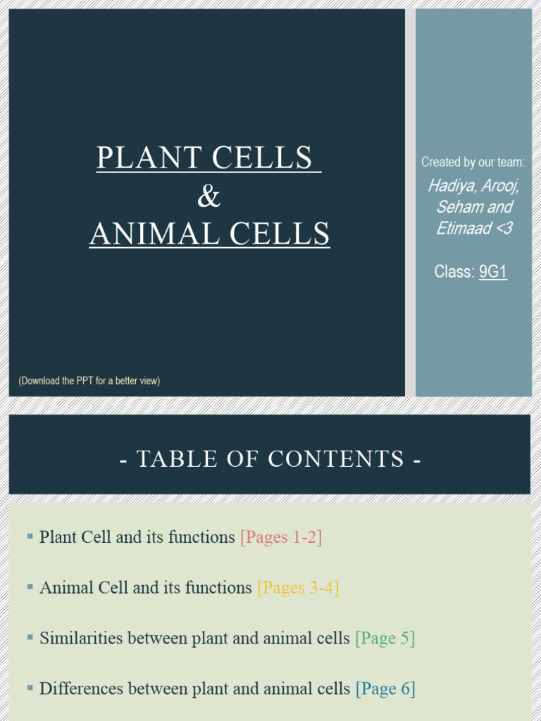 Plant and Animal Cells Overview | PDF | Biology | Life Sciences