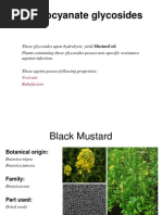 Pharmacognosy Lecture # 4 (Isothiocyanate, Lactone, Aldehyde & Misc Glycosides) (By, Sir Tanveer Khan)