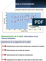 Crecimiento