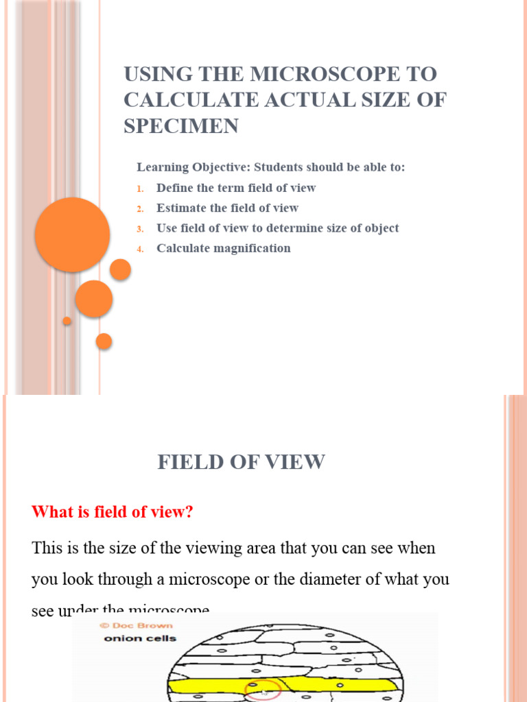 Using The Microscope To Calculate Actual Size of (UNIT 1) PDF