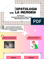 Psicopatologia de La Memoria