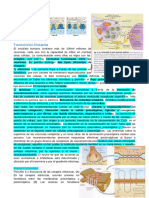 Resumen 2do Parcial Practica PDF