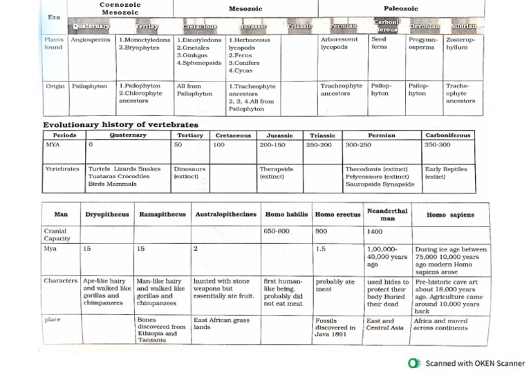 Evolution Chart | PDF