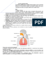 Sistema Respiratório