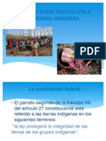 Principios Sobre Protección A Las Tierras Indígenas