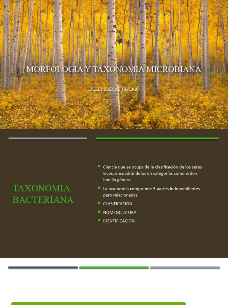 Morfologia y Taxonomia Microbiana PDF Virus Las bacterias