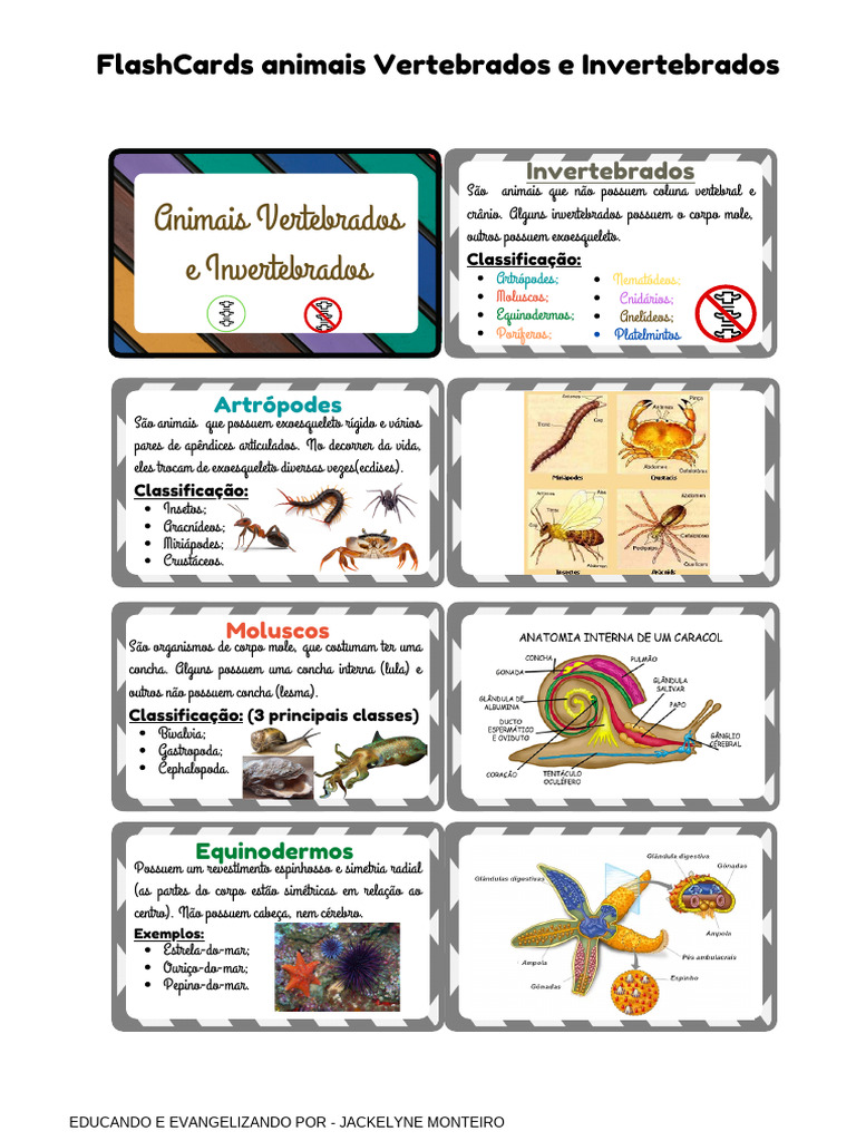 Classificação de Animais Vertebrados e Invertebrados | PDF ...
