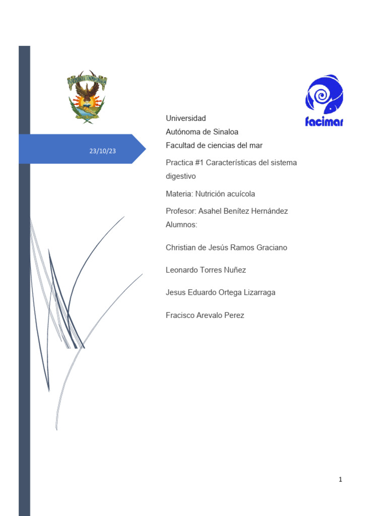Sistema De Control De Flotabilidad