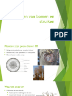 Snoeien Van Bomen en Struiken