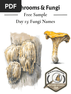 Freebie Day 13 Fungi Names