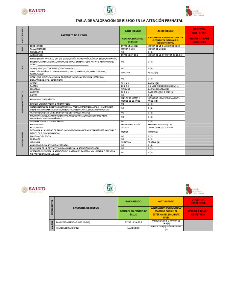 Valoración de Riesgo Obstétrico Prenatal | PDF | El embarazo | Presión ...