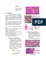 Histology Reviewer