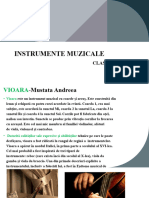 Instrumente Muzicale-1 11