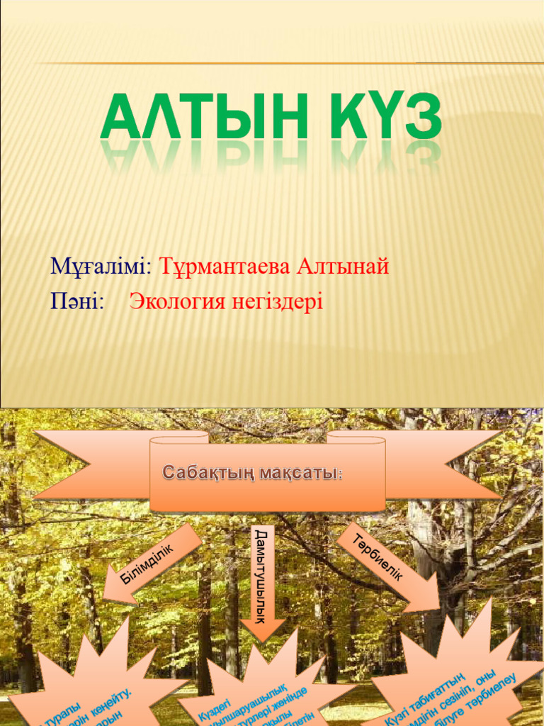 Сүйікті апай