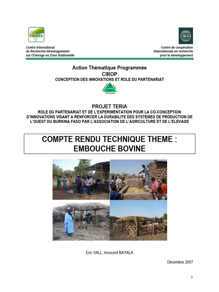 Expérimentation d'embouche bovine au Burkina | PDF | Bovins domestiques ...