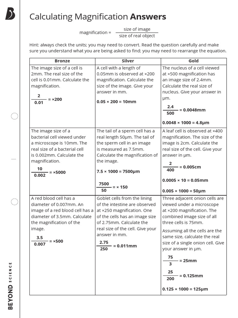 Calculating Magnification Worksheet Answers PDF Electromagnetic