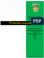 Proteínas Musculares