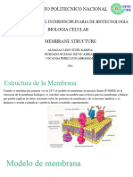 Membrane Structure