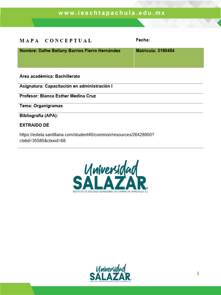 FORMATO MAPA CONCEPTUAL. Dafne Capacitacion | PDF