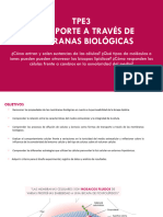 TPE3 - Introducción-Biología