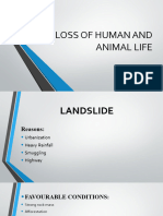 Loss of Human and Animal Life
