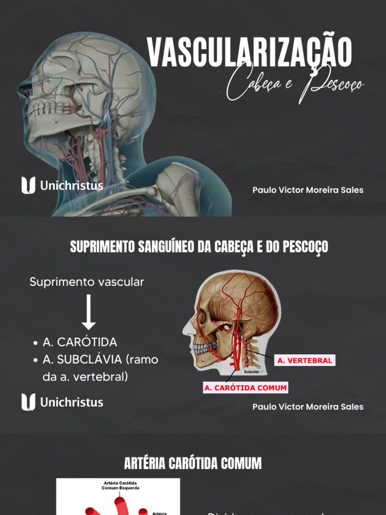 Vascularização da Cabeça e Pescoço | PDF | Cabeça e pescoço humano ...