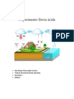 Experimento Lluvia Ácida