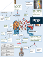 Mapa Mental Lógica