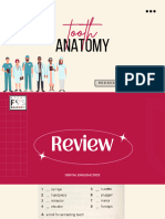 Bài 4 Anatomy